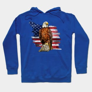 American Hoodie